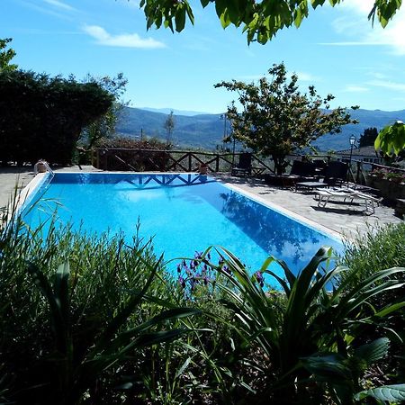 Casa Mezzuola Agriturismo Villa Greve in Chianti Esterno foto