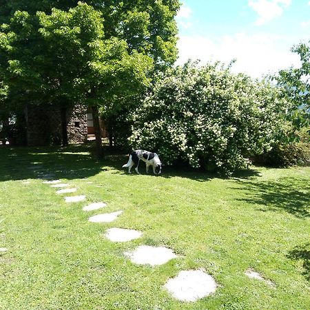 Casa Mezzuola Agriturismo Villa Greve in Chianti Esterno foto
