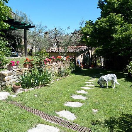 Casa Mezzuola Agriturismo Villa Greve in Chianti Esterno foto