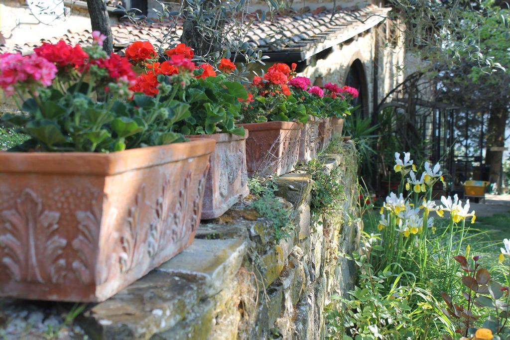 Casa Mezzuola Agriturismo Villa Greve in Chianti Esterno foto