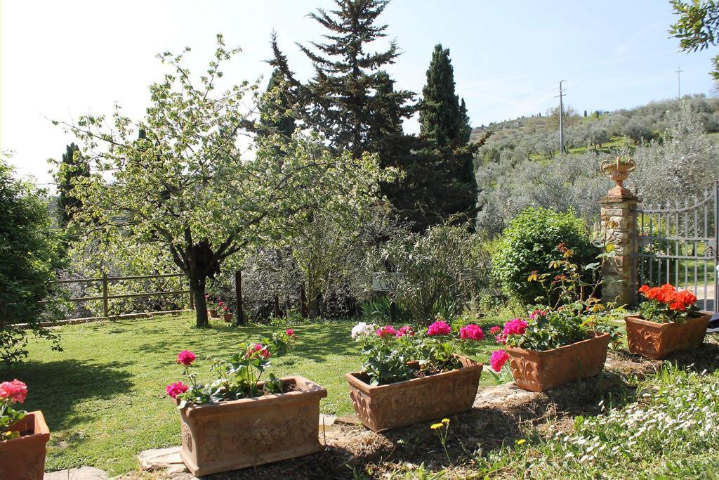 Casa Mezzuola Agriturismo Villa Greve in Chianti Esterno foto