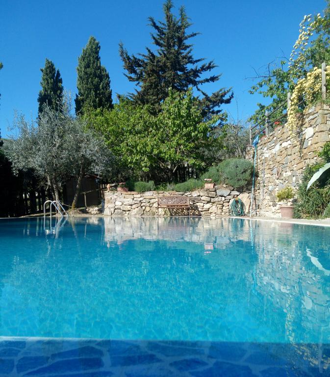 Casa Mezzuola Agriturismo Villa Greve in Chianti Esterno foto