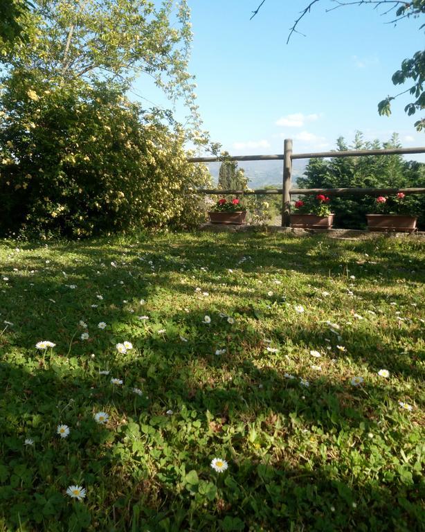 Casa Mezzuola Agriturismo Villa Greve in Chianti Esterno foto