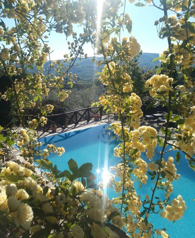 Casa Mezzuola Agriturismo Villa Greve in Chianti Esterno foto