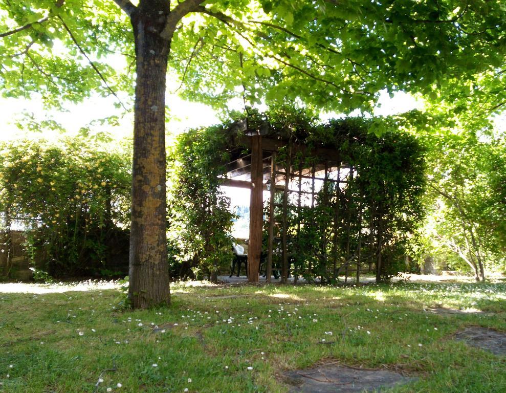Casa Mezzuola Agriturismo Villa Greve in Chianti Esterno foto