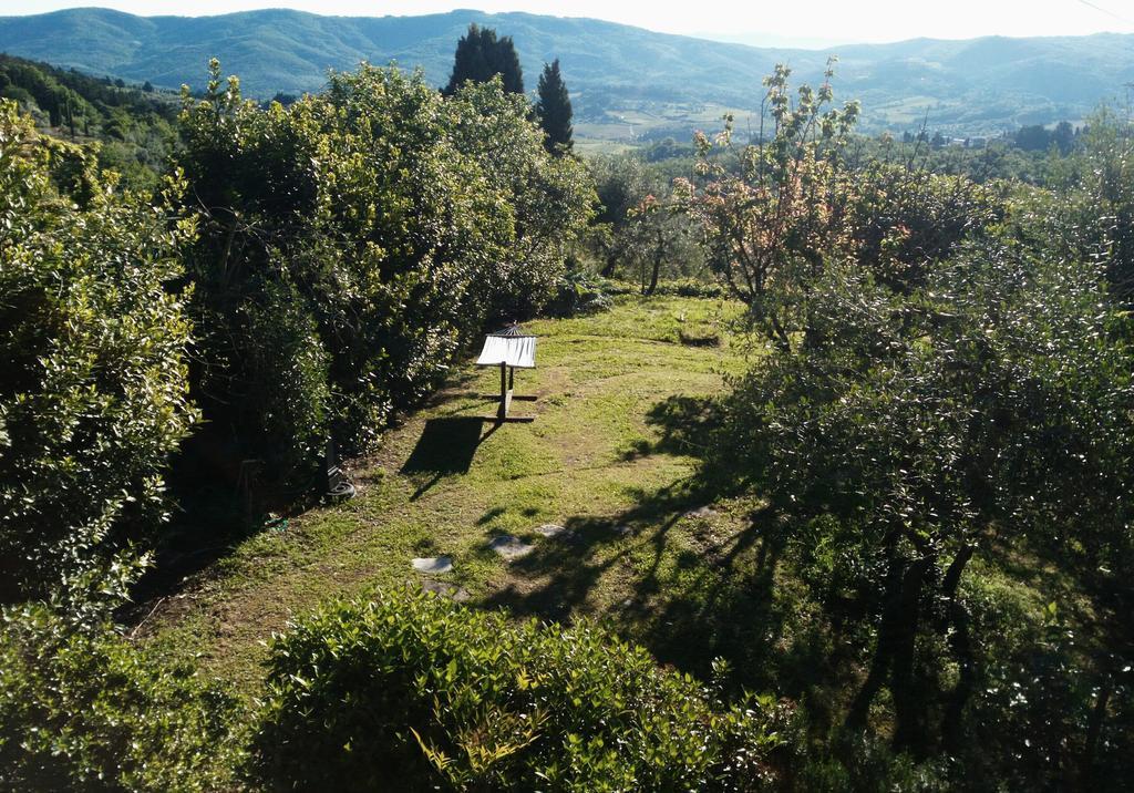 Casa Mezzuola Agriturismo Villa Greve in Chianti Esterno foto